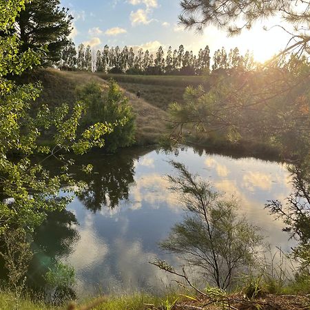 A Cabin With A Big View, Comfort And Tranquility, Close To Vines Martinborough Esterno foto
