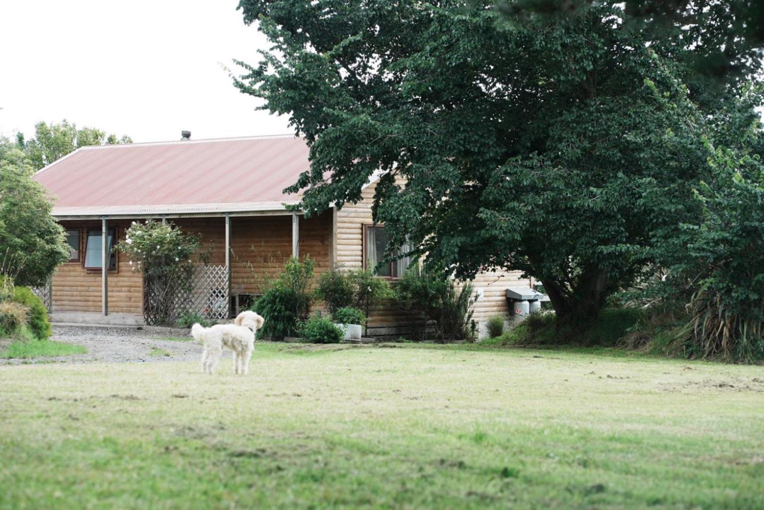 A Cabin With A Big View, Comfort And Tranquility, Close To Vines Martinborough Esterno foto