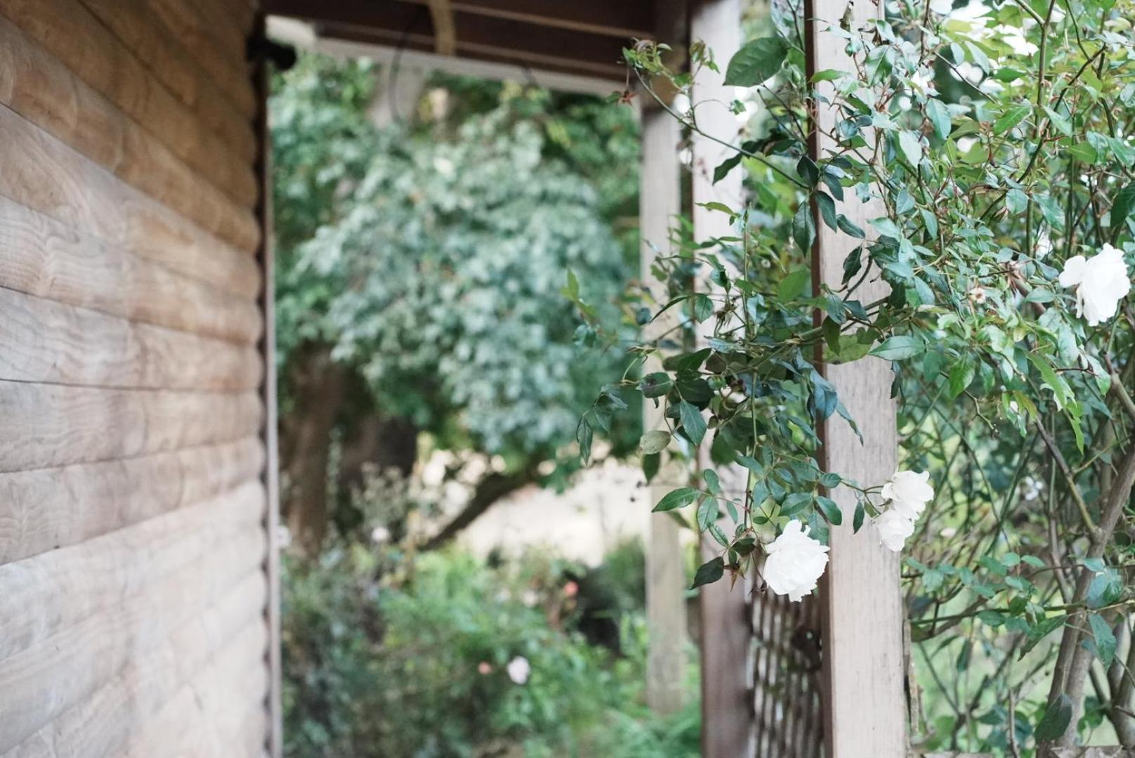 A Cabin With A Big View, Comfort And Tranquility, Close To Vines Martinborough Esterno foto