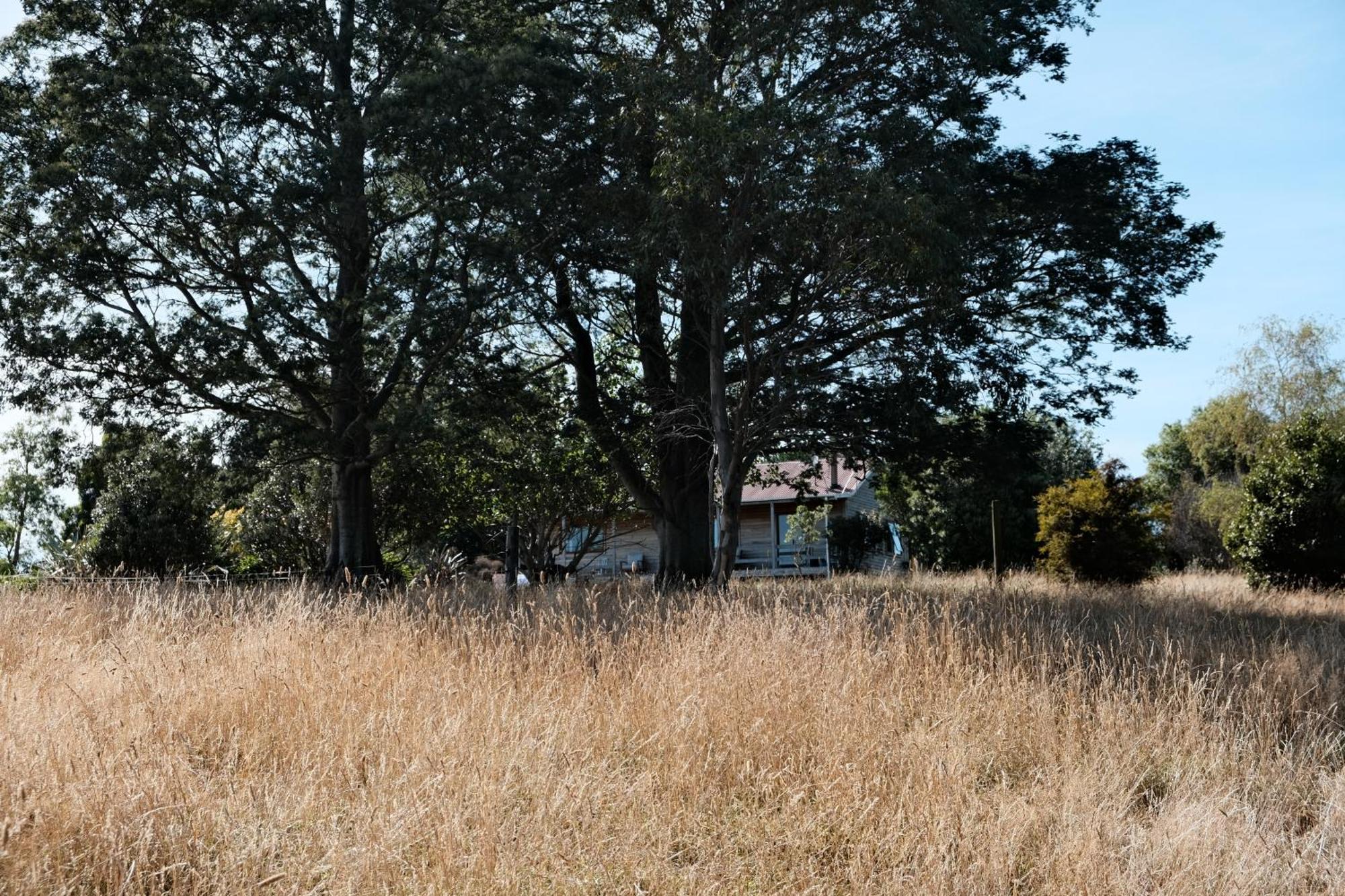 A Cabin With A Big View, Comfort And Tranquility, Close To Vines Martinborough Esterno foto