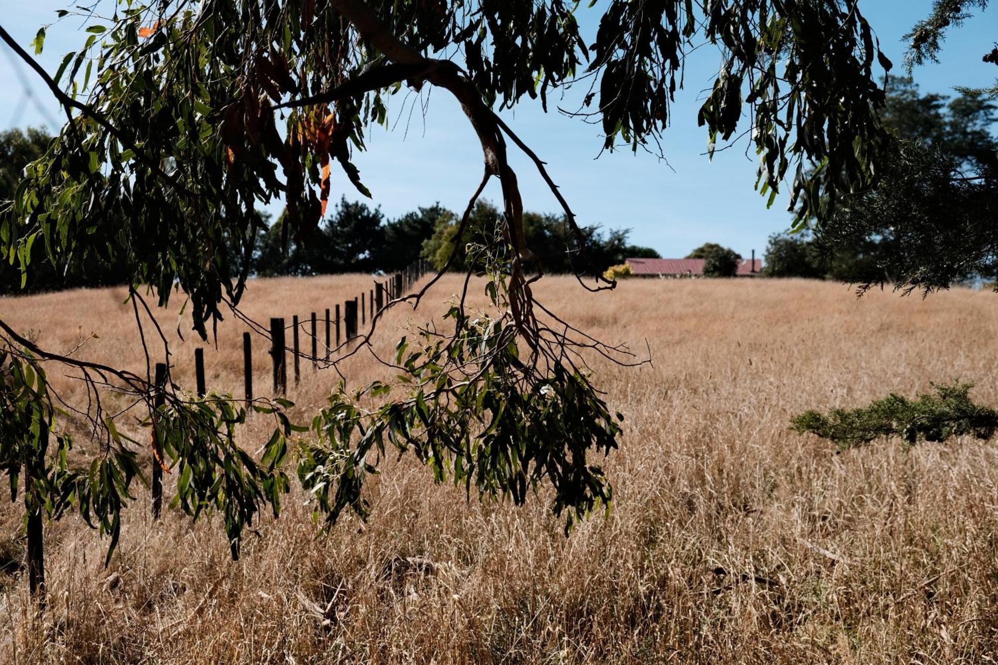 A Cabin With A Big View, Comfort And Tranquility, Close To Vines Martinborough Esterno foto