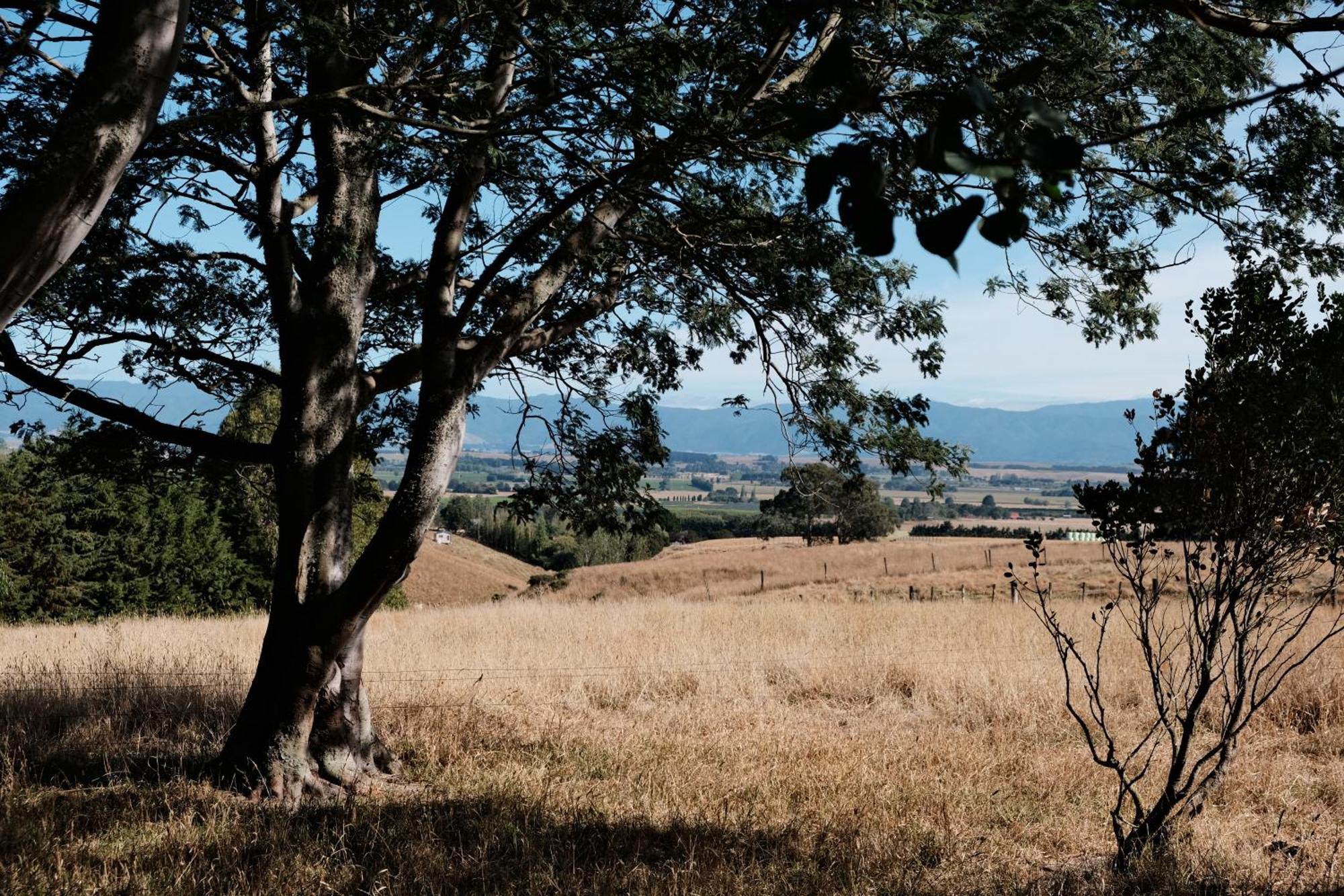 A Cabin With A Big View, Comfort And Tranquility, Close To Vines Martinborough Esterno foto