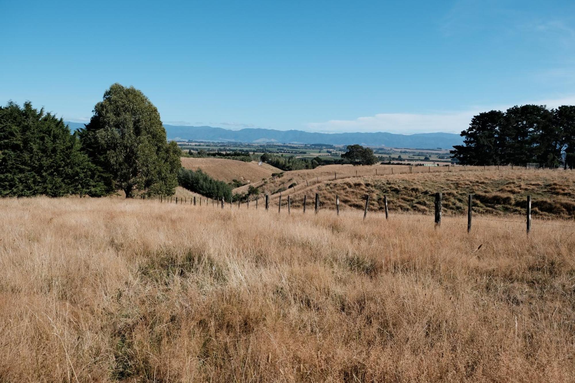 A Cabin With A Big View, Comfort And Tranquility, Close To Vines Martinborough Esterno foto