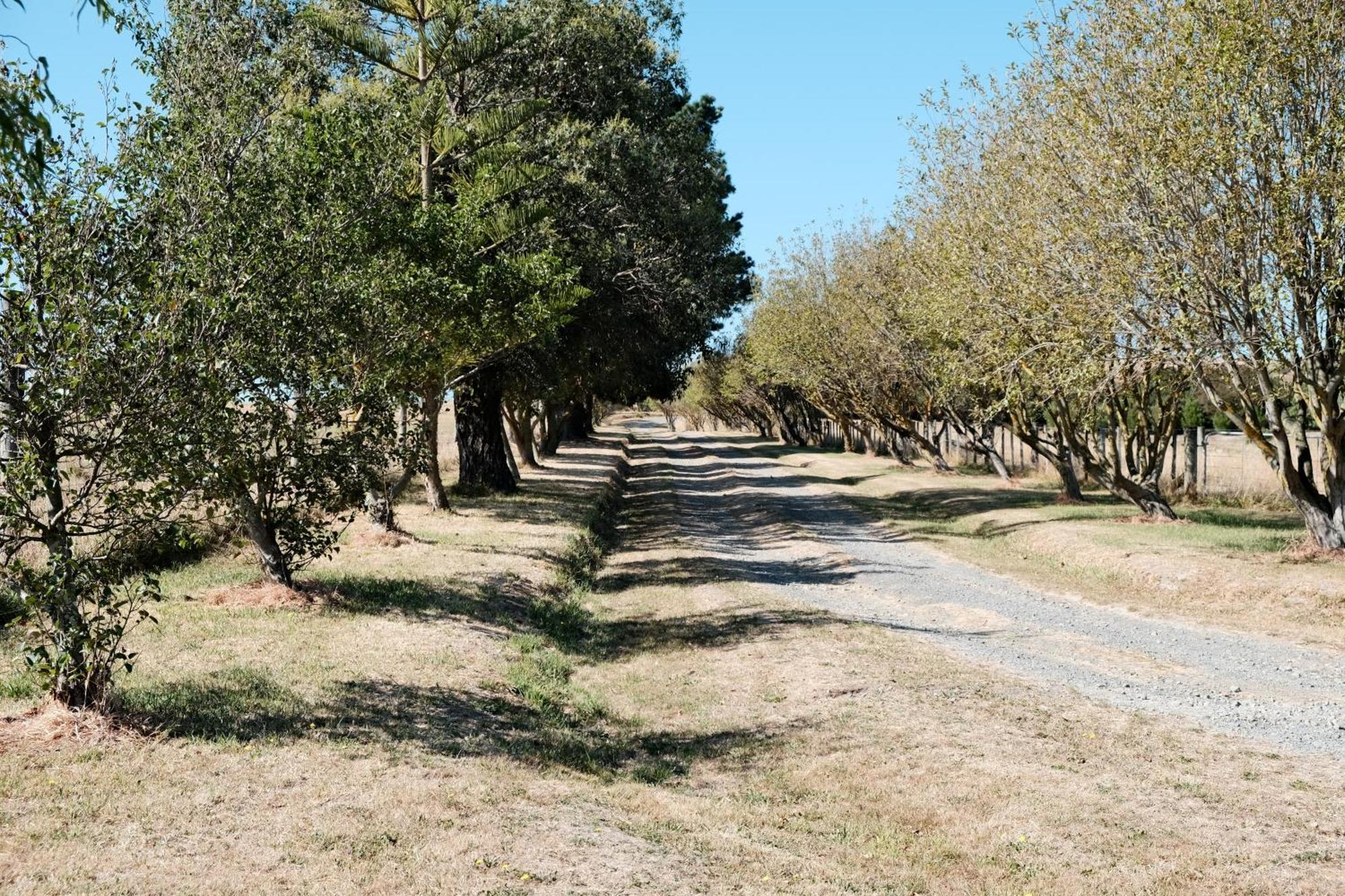 A Cabin With A Big View, Comfort And Tranquility, Close To Vines Martinborough Esterno foto